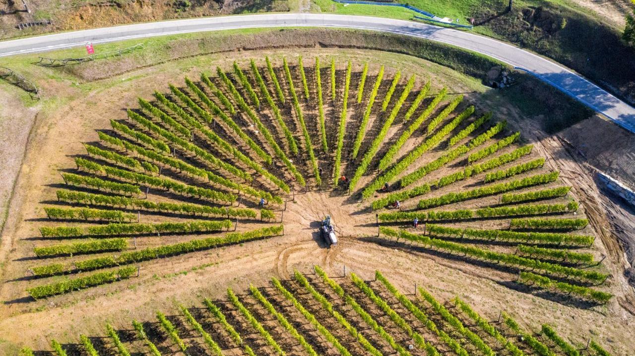 Cascina Bine Villa Novi Ligure Eksteriør bilde